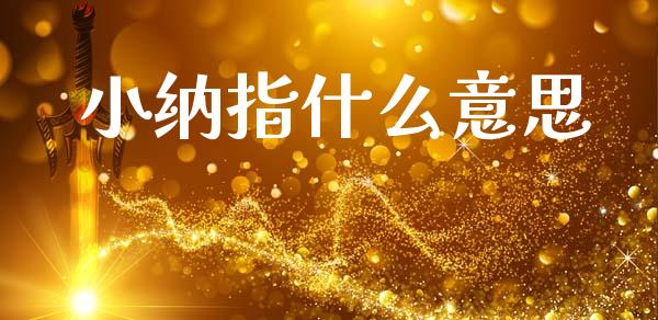 小纳指什么意思_https://wap.apzhendong.com_期货直播_第1张