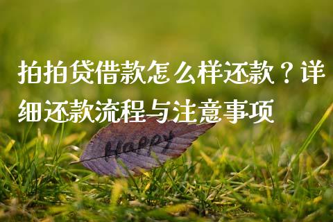 拍拍贷借款怎么样还款？详细还款流程与注意事项_https://wap.apzhendong.com_期货直播_第1张