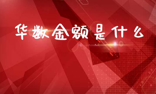 华数金额是什么_https://wap.apzhendong.com_投资理财_第1张