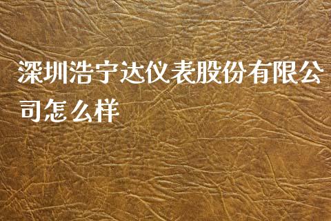 深圳浩宁达仪表股份有限公司怎么样_https://wap.apzhendong.com_投资理财_第1张