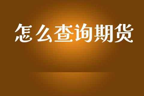 怎么查询期货_https://wap.apzhendong.com_投资理财_第1张