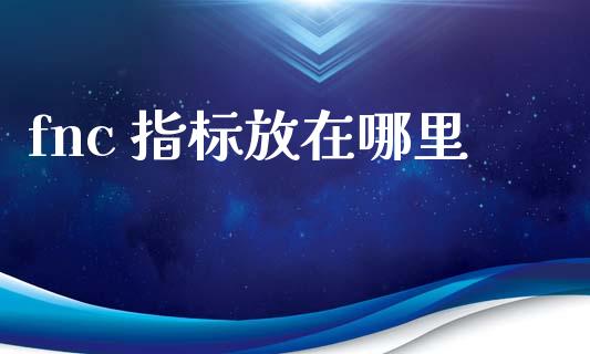 fnc 指标放在哪里_https://wap.apzhendong.com_投资理财_第1张
