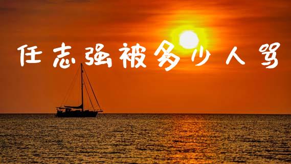 任志强被多少人骂_https://wap.apzhendong.com_投资理财_第1张
