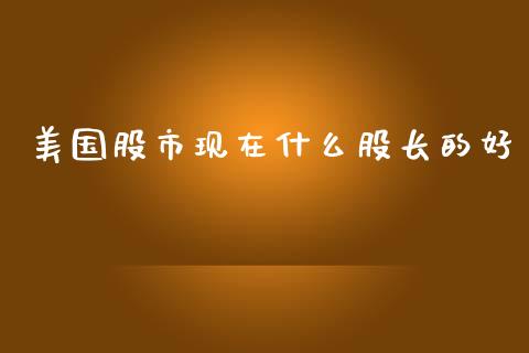 美国股市现在什么股长的好_https://wap.apzhendong.com_投资理财_第1张