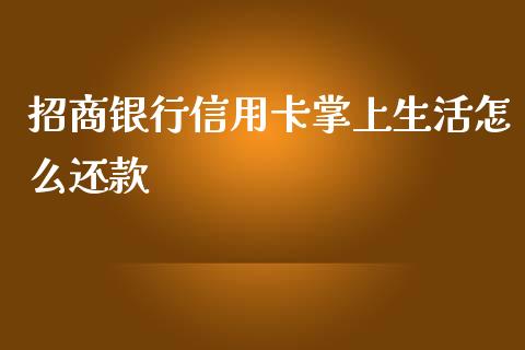 招商银行信用卡掌上生活怎么还款_https://wap.apzhendong.com_今日财经_第1张