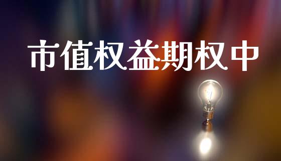 市值权益期权中_https://wap.apzhendong.com_投资理财_第1张