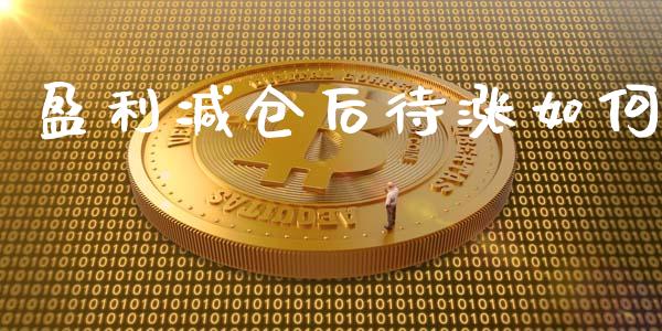 盈利减仓后待涨如何_https://wap.apzhendong.com_今日财经_第1张