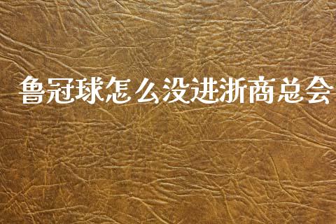 鲁冠球怎么没进浙商总会_https://wap.apzhendong.com_期货直播_第1张