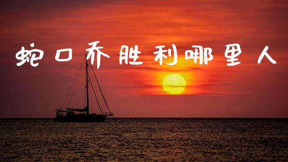 蛇口乔胜利哪里人_https://wap.apzhendong.com_投资理财_第1张