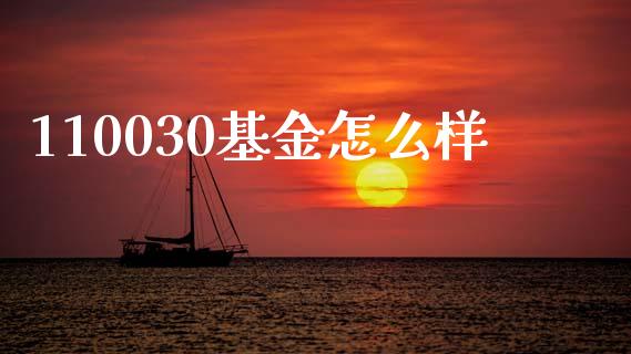 110030基金怎么样_https://wap.apzhendong.com_期货直播_第1张