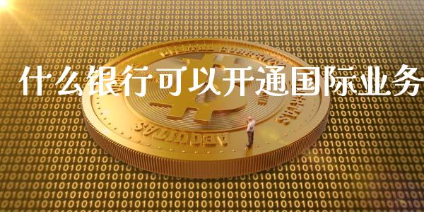 什么银行可以开通国际业务_https://wap.apzhendong.com_今日财经_第1张