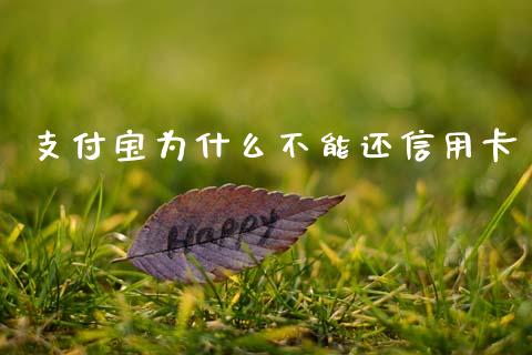 支付宝为什么不能还信用卡_https://wap.apzhendong.com_投资理财_第1张