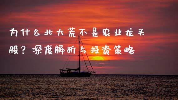 为什么北大荒不是农业龙头股？深度解析与投资策略_https://wap.apzhendong.com_美股行情_第1张