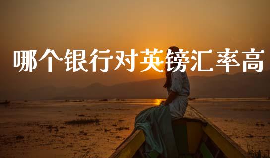 哪个银行对英镑汇率高_https://wap.apzhendong.com_投资理财_第1张