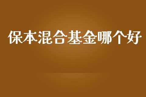 保本混合基金哪个好_https://wap.apzhendong.com_美股行情_第1张