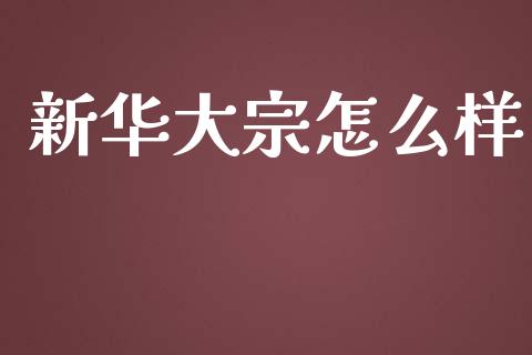 新华大宗怎么样_https://wap.apzhendong.com_投资理财_第1张