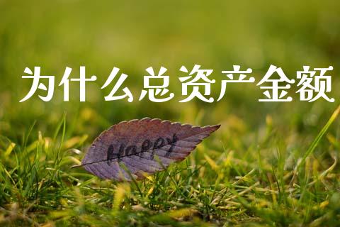 为什么总资产金额_https://wap.apzhendong.com_今日财经_第1张