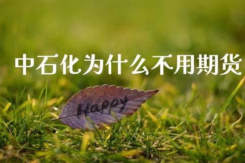 中石化为什么不用期货_https://wap.apzhendong.com_美股行情_第1张