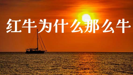 红牛为什么那么牛_https://wap.apzhendong.com_美股行情_第1张