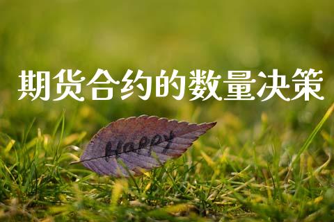 期货合约的数量决策_https://wap.apzhendong.com_投资理财_第1张