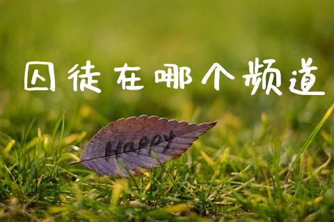 囚徒在哪个频道_https://wap.apzhendong.com_今日财经_第1张