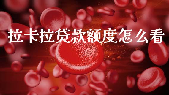 拉卡拉贷款额度怎么看_https://wap.apzhendong.com_投资理财_第1张