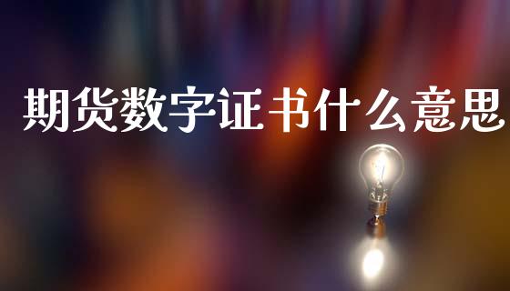 期货数字证书什么意思_https://wap.apzhendong.com_美股行情_第1张