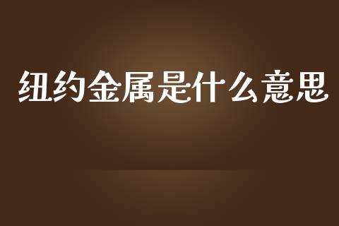 纽约金属是什么意思_https://wap.apzhendong.com_期货直播_第1张
