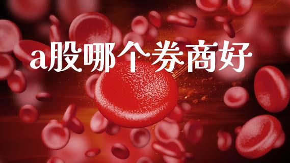 a股哪个券商好_https://wap.apzhendong.com_美股行情_第1张