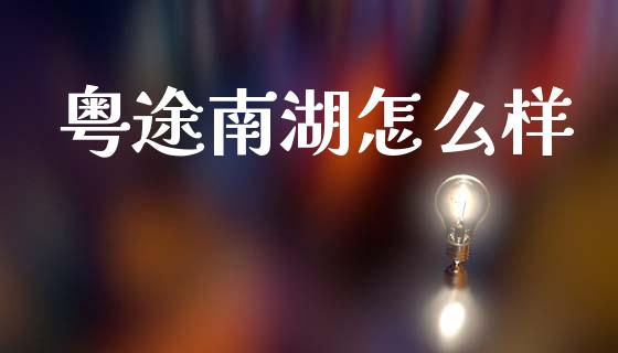 粤途南湖怎么样_https://wap.apzhendong.com_美股行情_第1张