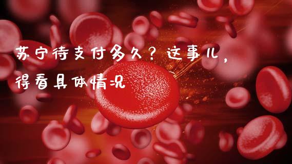 苏宁待支付多久？这事儿，得看具体情况_https://wap.apzhendong.com_今日财经_第1张