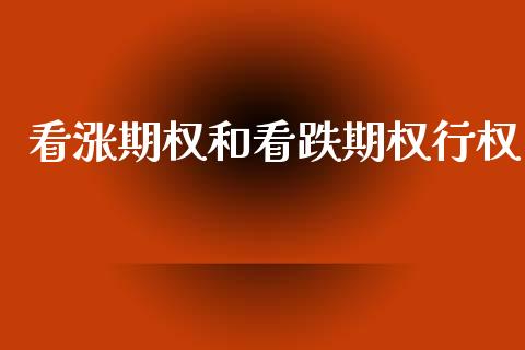 看涨期权和看跌期权行权_https://wap.apzhendong.com_美股行情_第1张