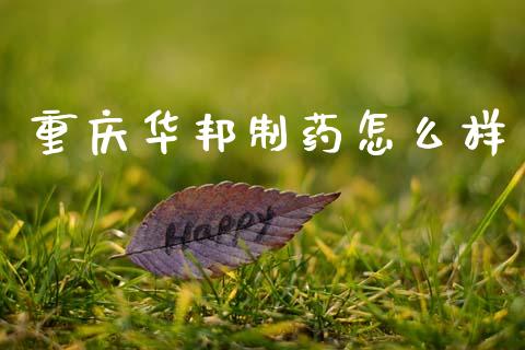 重庆华邦制药怎么样_https://wap.apzhendong.com_美股行情_第1张