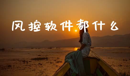 风控软件都什么_https://wap.apzhendong.com_期货直播_第1张