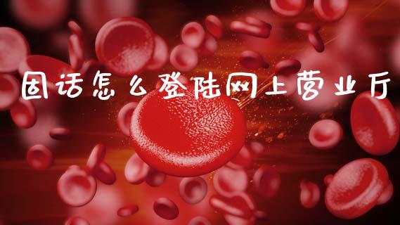 固话怎么登陆网上营业厅_https://wap.apzhendong.com_今日财经_第1张