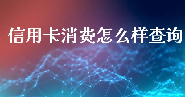 信用卡消费怎么样查询_https://wap.apzhendong.com_美股行情_第1张
