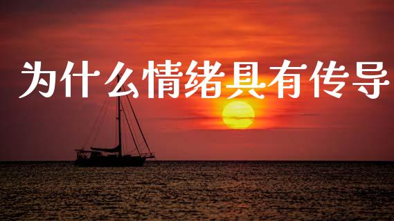为什么情绪具有传导_https://wap.apzhendong.com_美股行情_第1张
