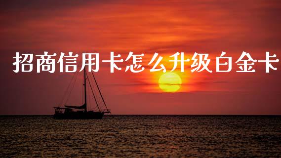招商信用卡怎么升级白金卡_https://wap.apzhendong.com_美股行情_第1张