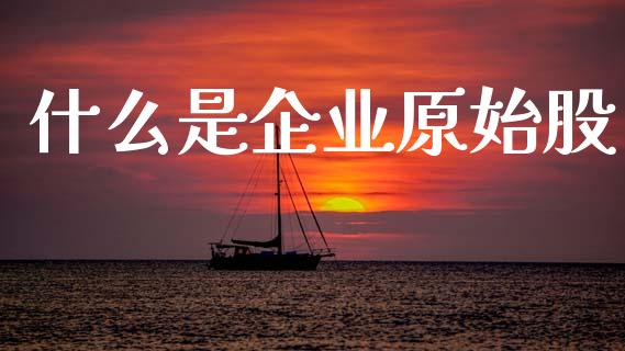什么是企业原始股_https://wap.apzhendong.com_美股行情_第1张