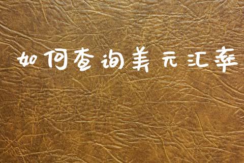 如何查询美元汇率_https://wap.apzhendong.com_今日财经_第1张