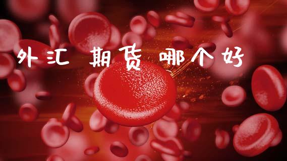 外汇 期货 哪个好_https://wap.apzhendong.com_今日财经_第1张