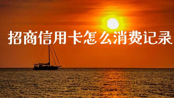 招商信用卡怎么消费记录_https://wap.apzhendong.com_今日财经_第1张