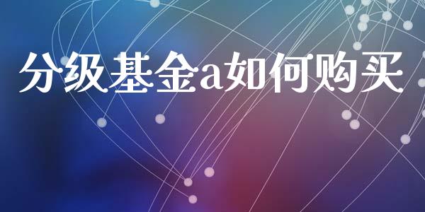 分级基金a如何购买_https://wap.apzhendong.com_投资理财_第1张