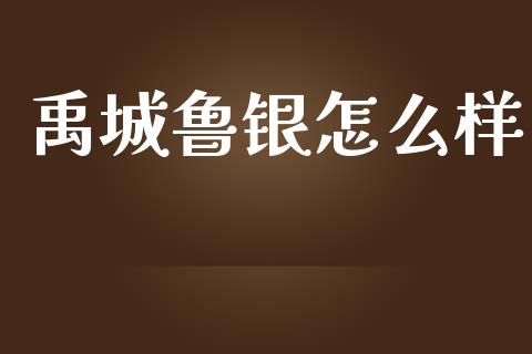 禹城鲁银怎么样_https://wap.apzhendong.com_美股行情_第1张