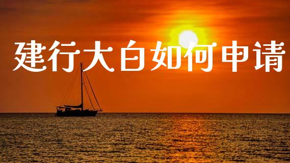 建行大白如何申请_https://wap.apzhendong.com_今日财经_第1张