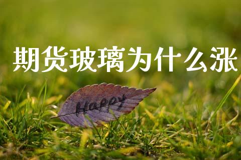 期货玻璃为什么涨_https://wap.apzhendong.com_期货直播_第1张