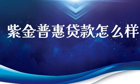 紫金普惠贷款怎么样_https://wap.apzhendong.com_美股行情_第1张