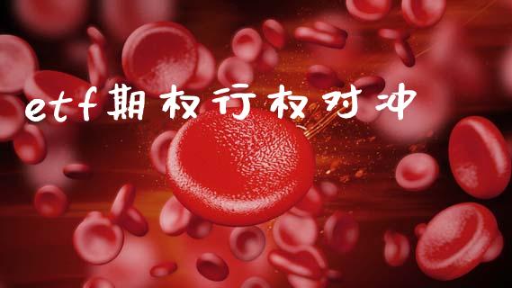 etf期权行权对冲_https://wap.apzhendong.com_美股行情_第1张