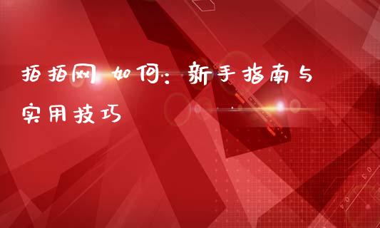 拍拍网 如何：新手指南与实用技巧_https://wap.apzhendong.com_今日财经_第1张