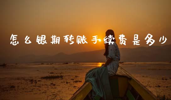 怎么银期转账手续费是多少_https://wap.apzhendong.com_美股行情_第1张